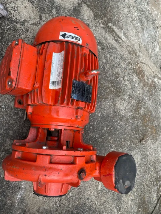 Bomba de Incêndio Schneider BPI-22 R 2 1/2 10 CV Trifásica 4 Voltagens