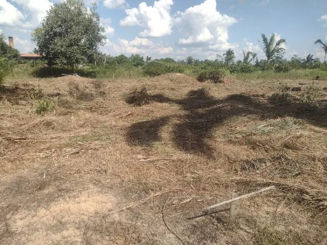 Terreno