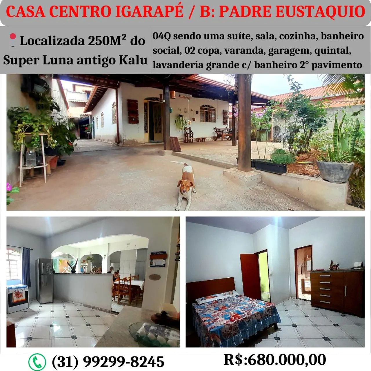 Foto - Igarapé - 