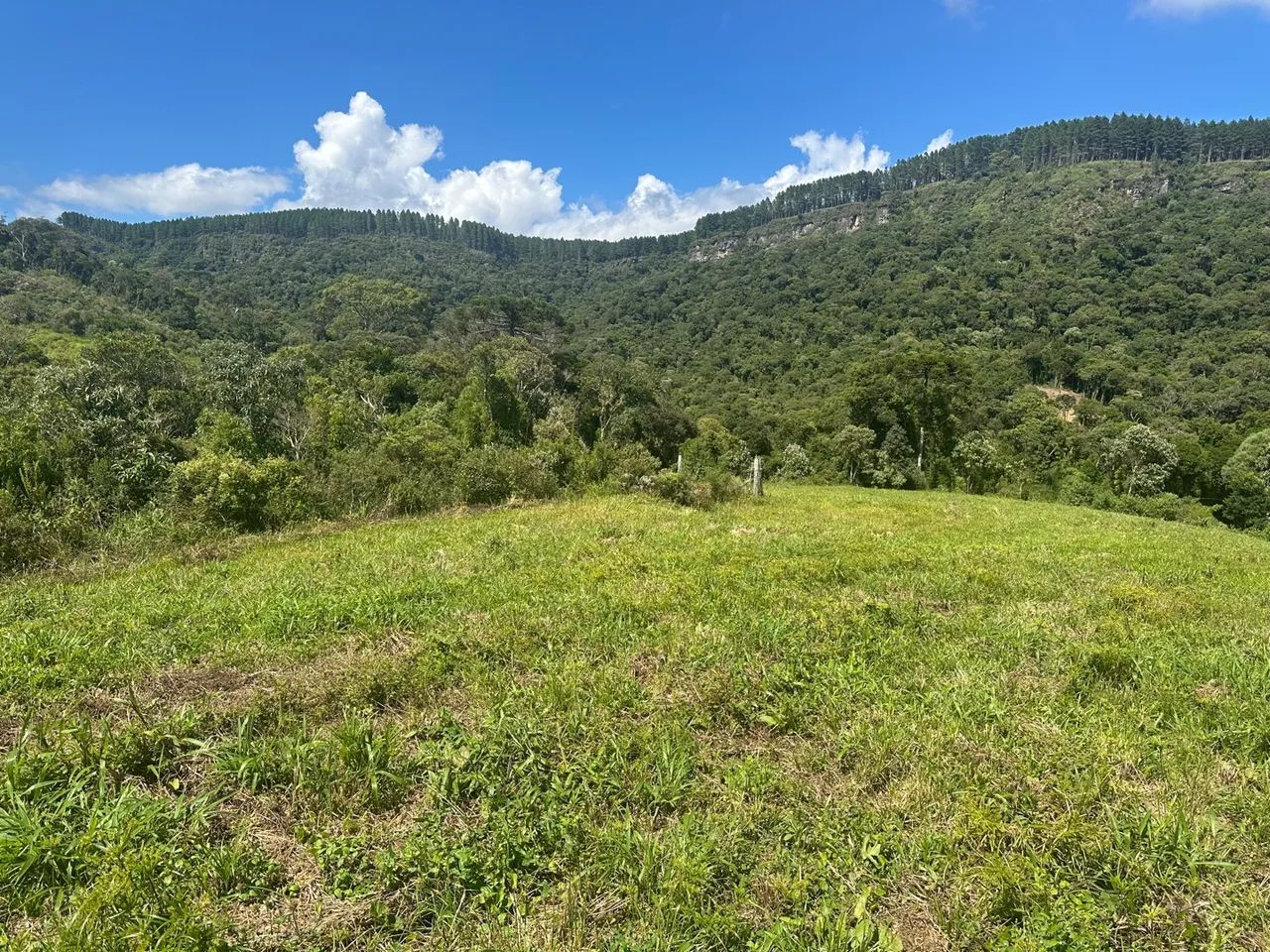 Vende sítio  - Foto 8