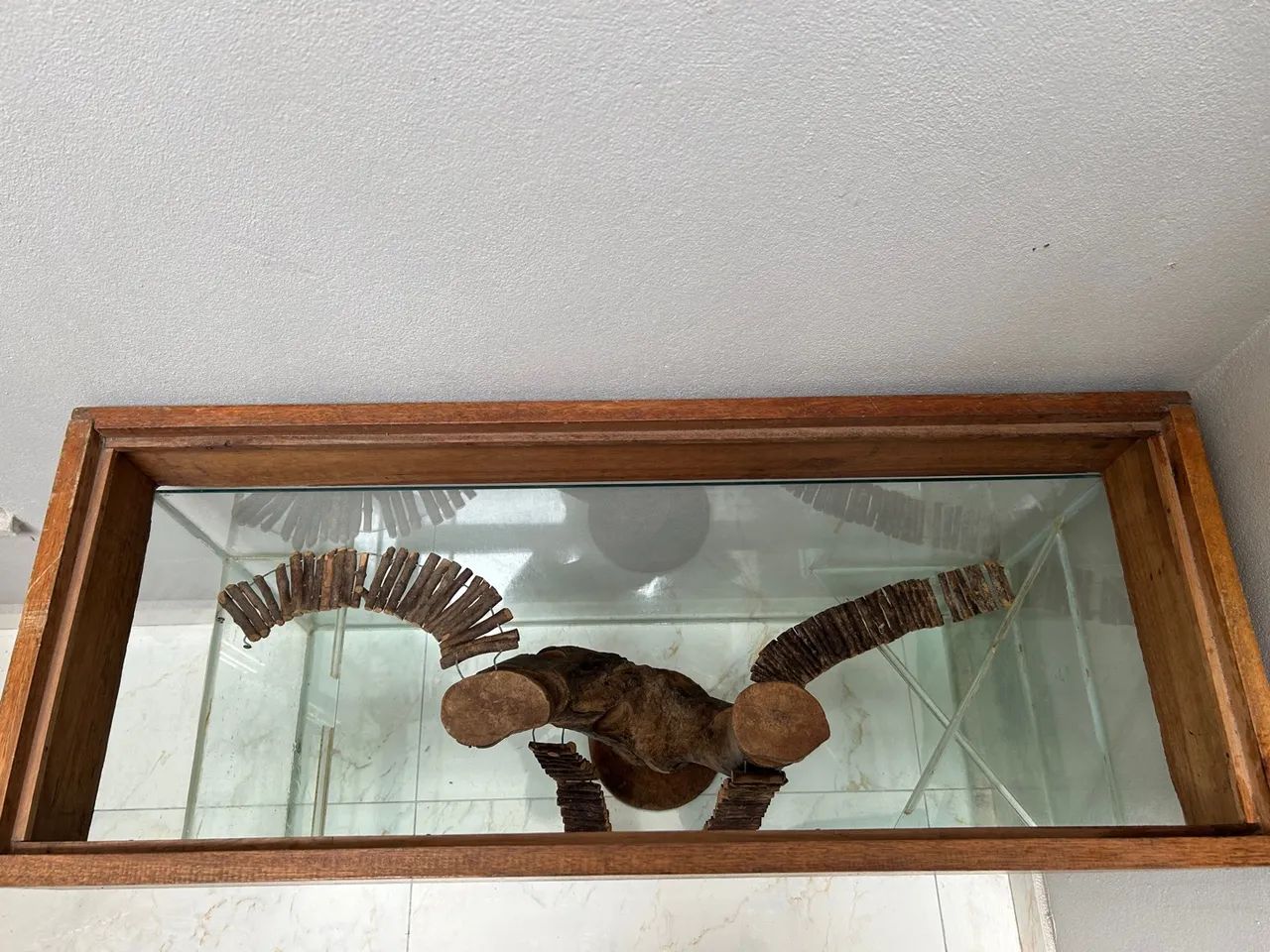 Terrário para Roedores - Foto 3