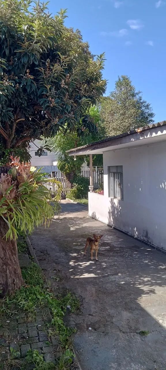 foto - Curitiba - Boqueirão