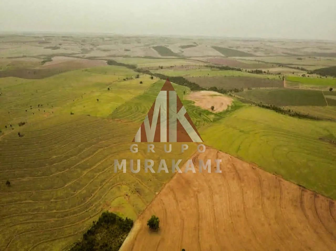 FAZENDA - MARIA HELENA - PR - Foto 3