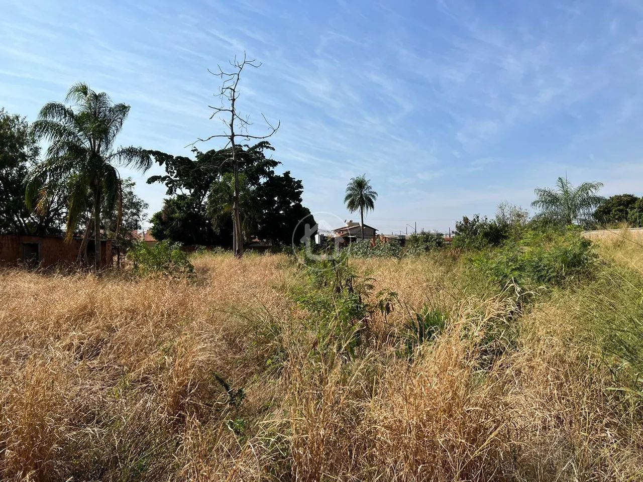 OTIMO TERRENO PARA INVESTIMENTO - Foto 2
