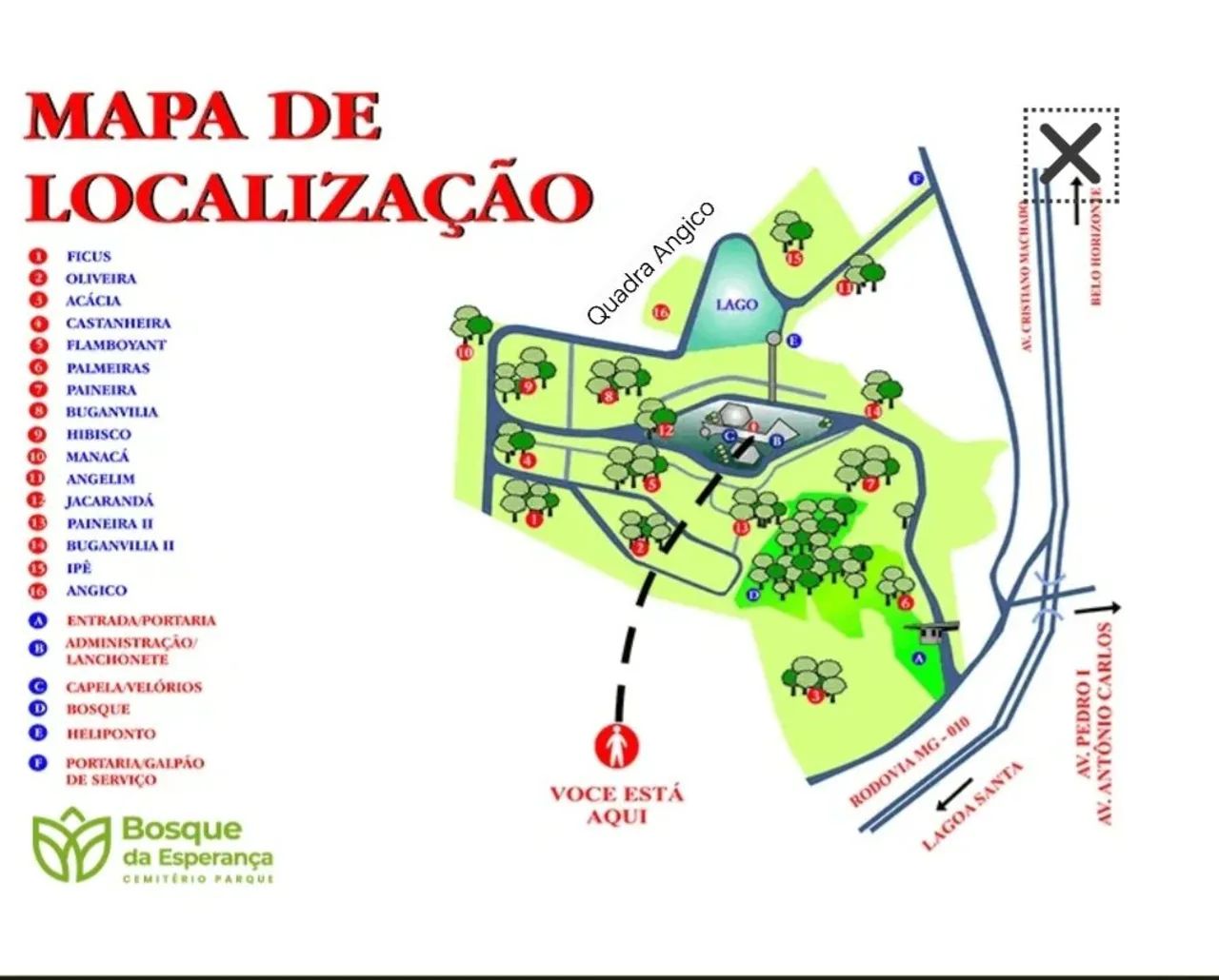 Venda de jazigo Bosque da Esperança  - Foto 3