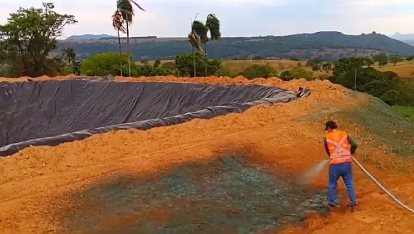 Grama líquida hidrossemeadura  - Foto 4