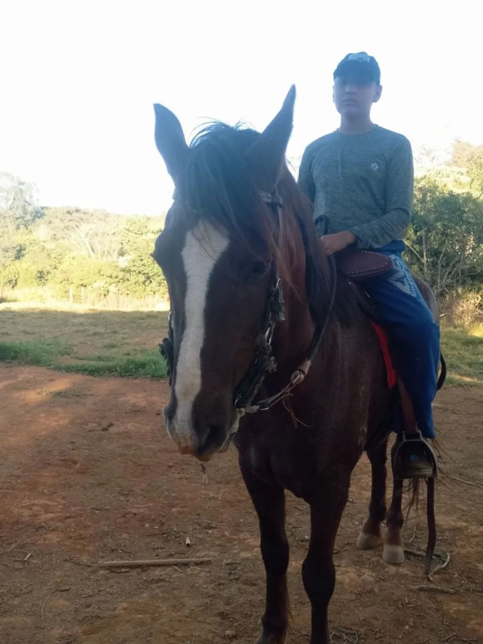 Cavalo menga larga machador 
