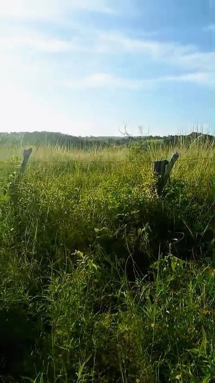 Sítio com 7 hectares em moreno 4,3 km da BR 232 - Foto 3