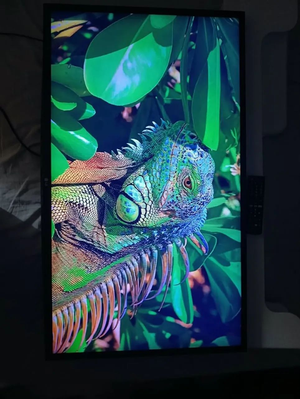 Tv LG 43 polegadas Full HD