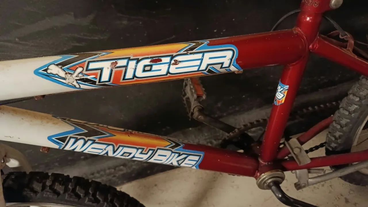 Vendo 2 bicicletas , uma da marca sundown e outra da marca tiger - Foto 2