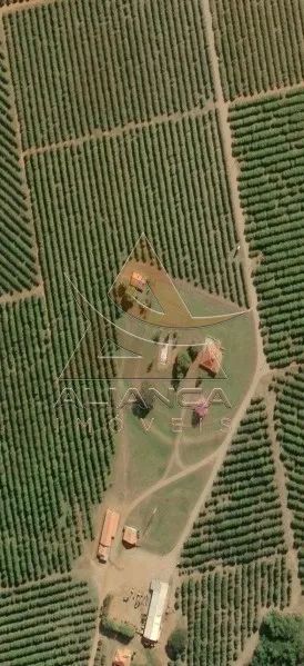Fazenda - Marília - Zona Rural - Foto 2