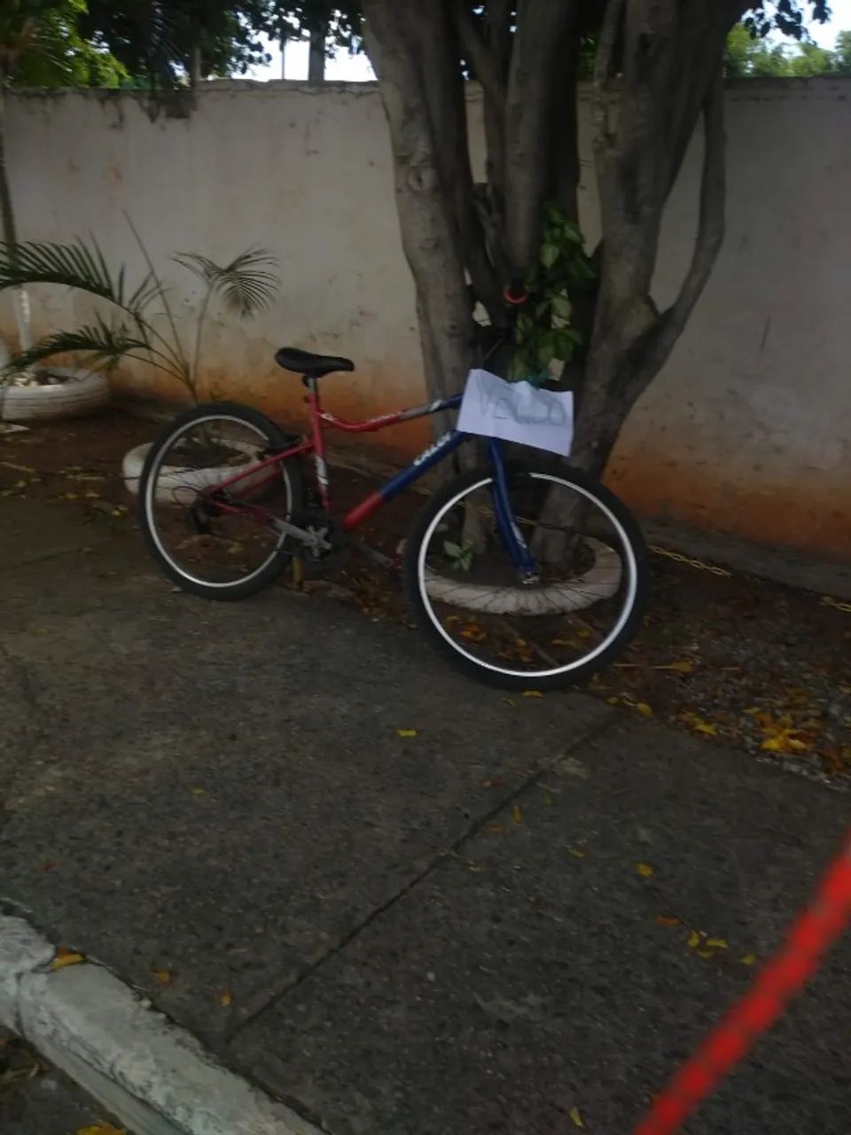 Bicicleta terra Caloi  - Foto 3