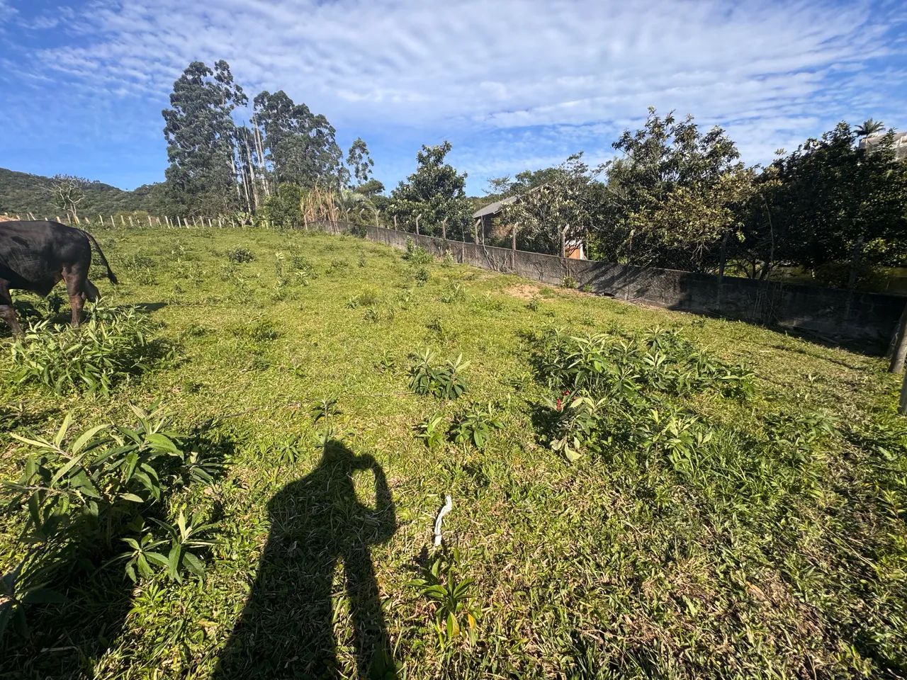 TERRENO EM GOVERNADOR CELSO RAMOS - Foto 5