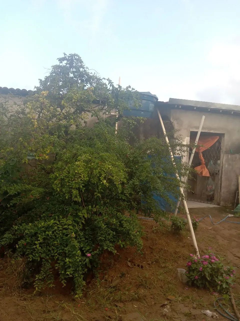 Uma casa - Foto 3
