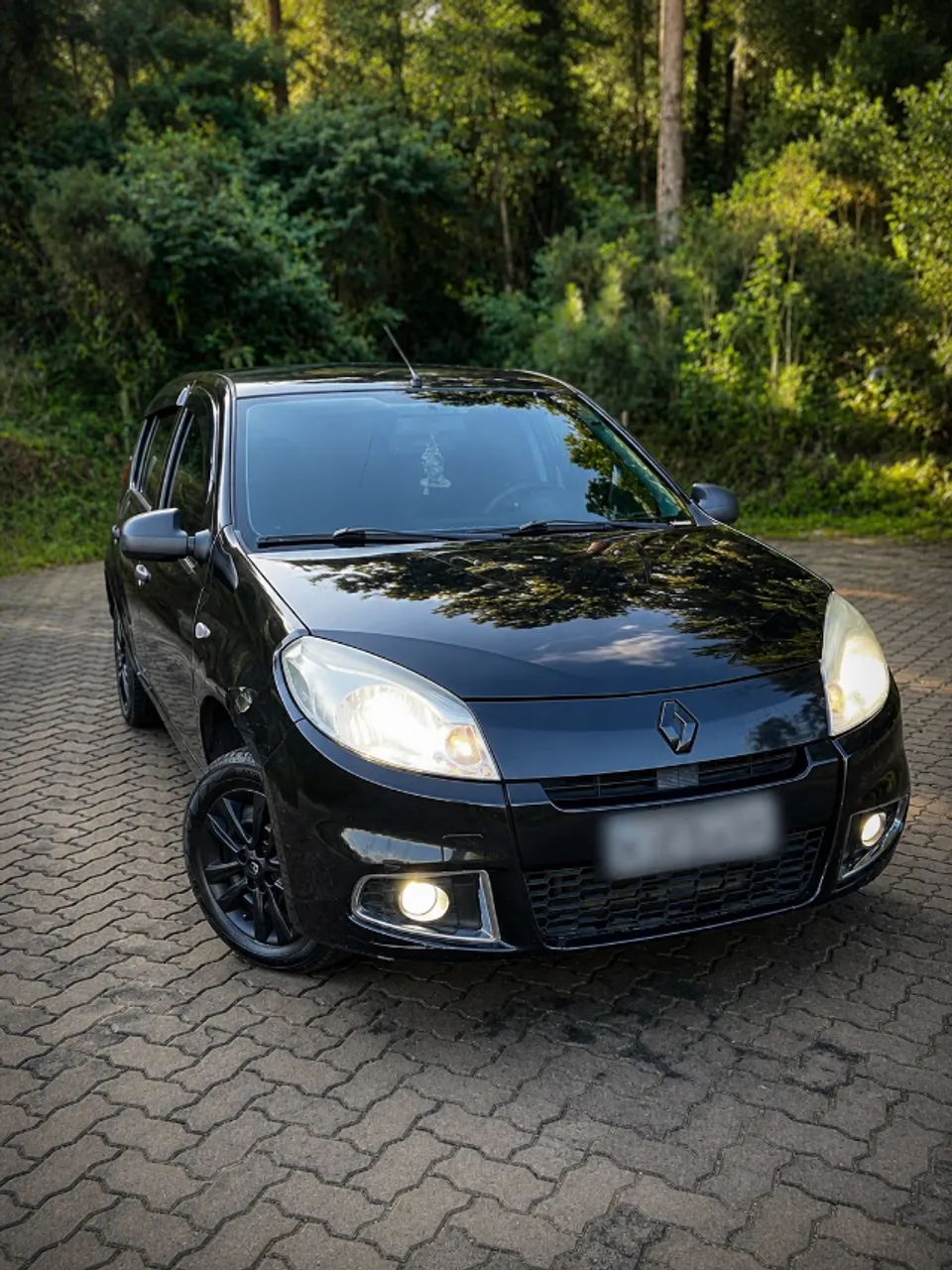 Renault Sandero 2012