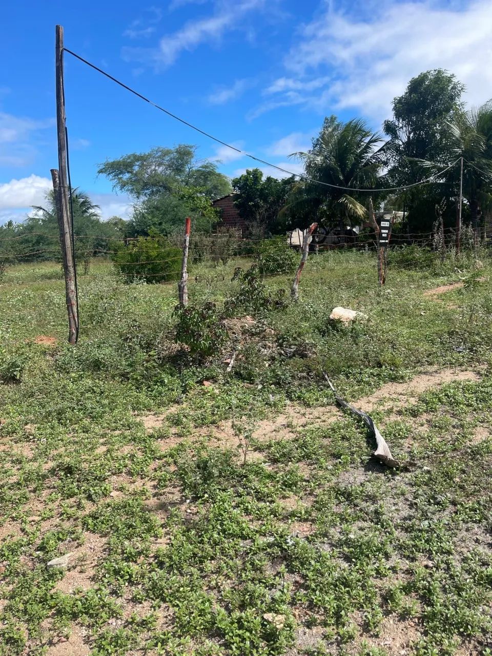 Terreno - Foto 5
