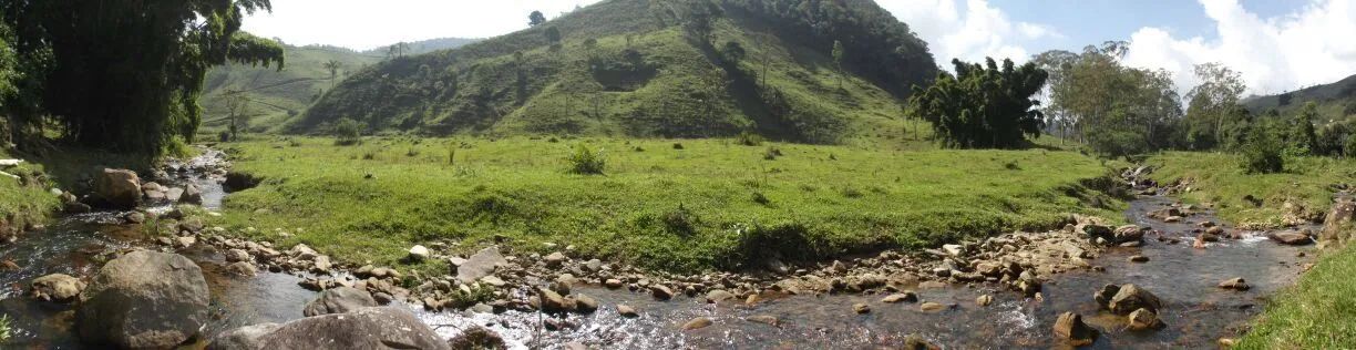 Excelente Fazenda - Foto 5