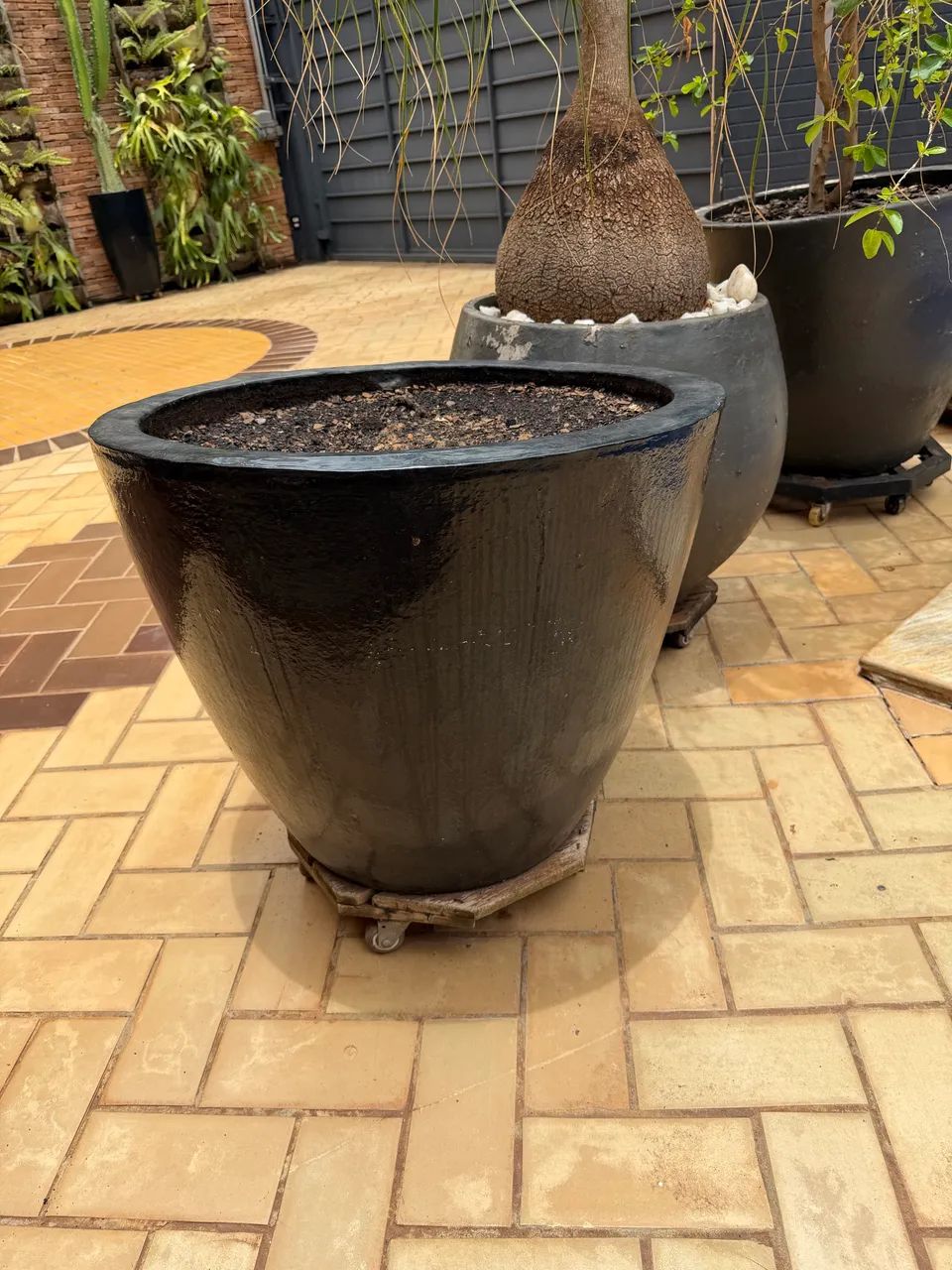 Vaso  ornamental Preto brilhante 70 cm  boca 65 cm de altura 