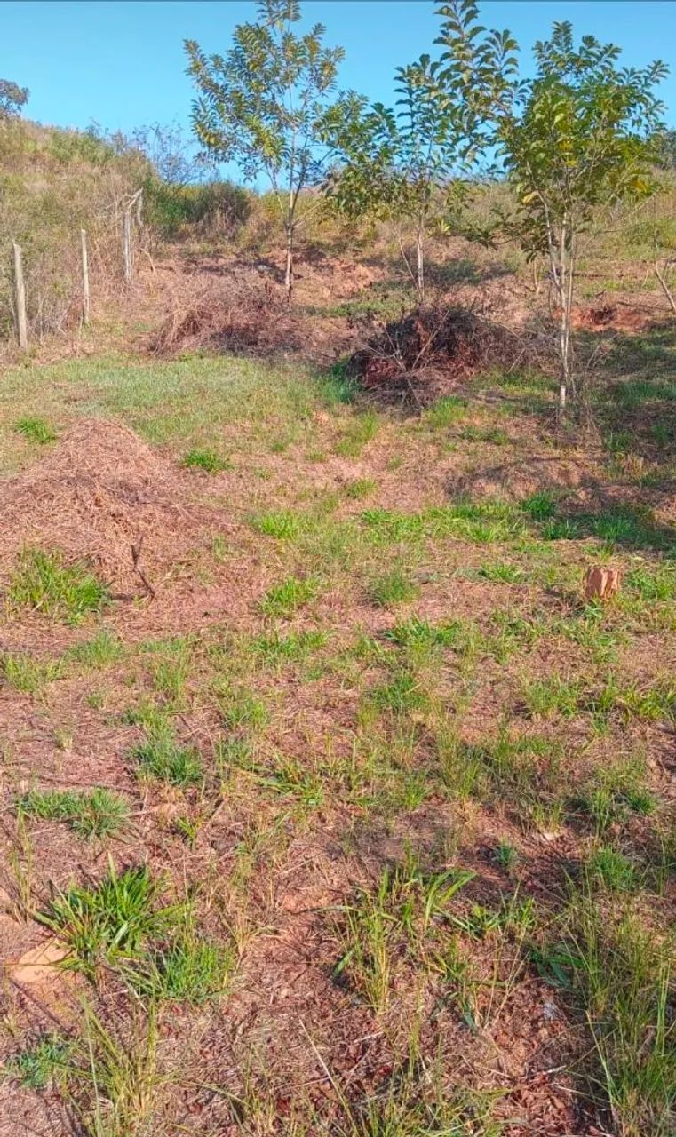Terreno Pinheiral - Oriente R$40mil - Foto 3