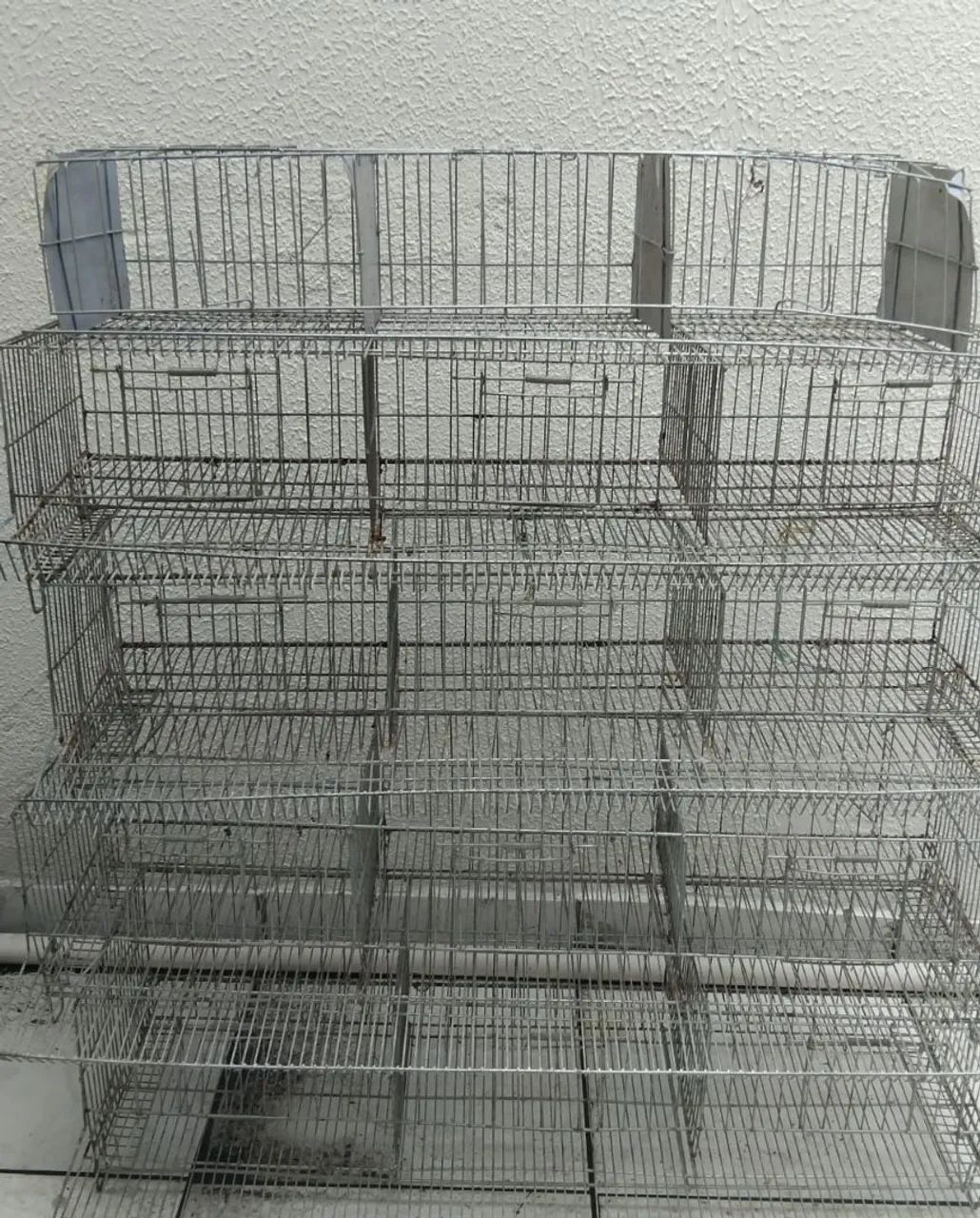 Gaiola para codorna 