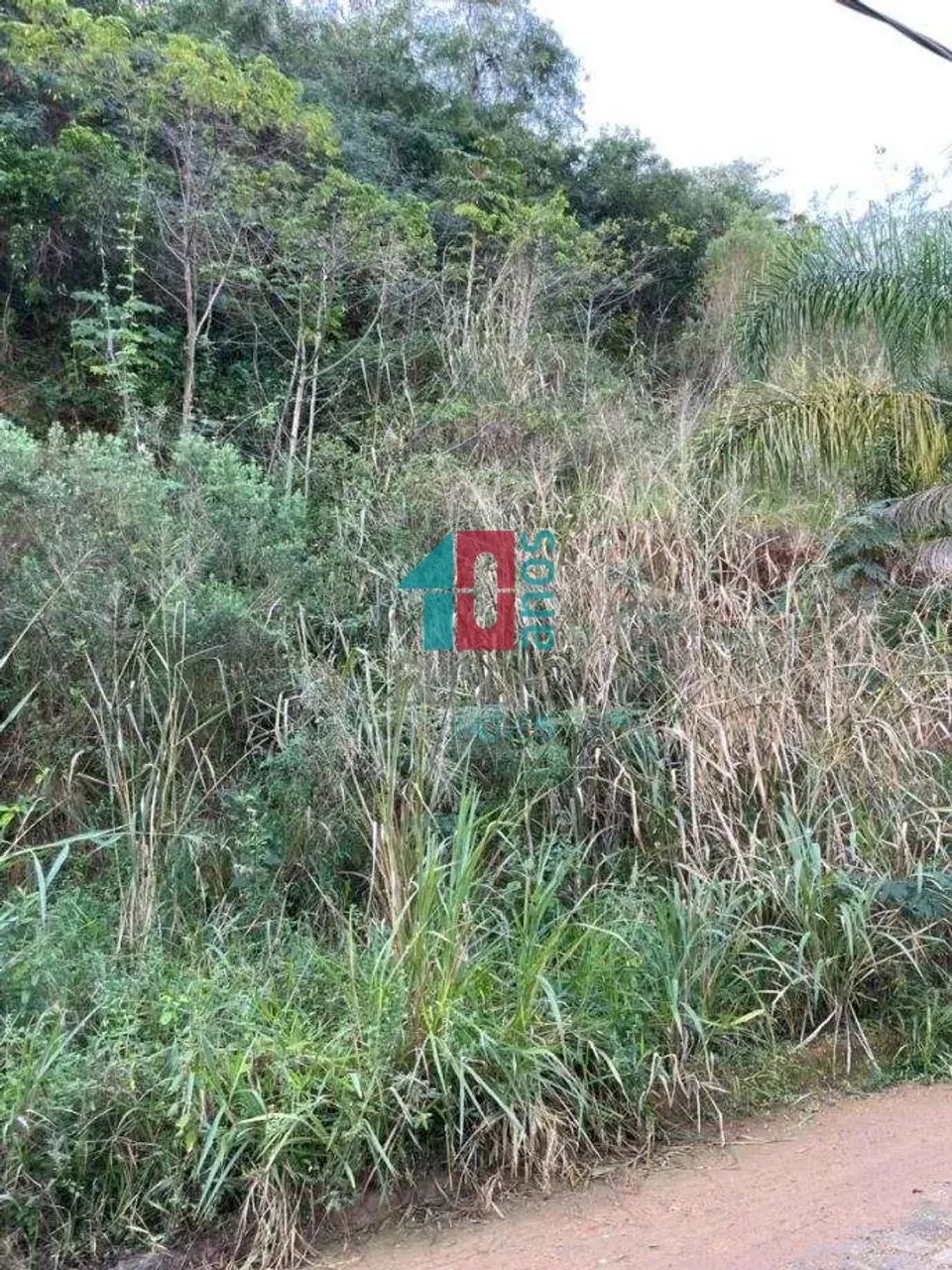 Pechincha | Terreno - Foto 4