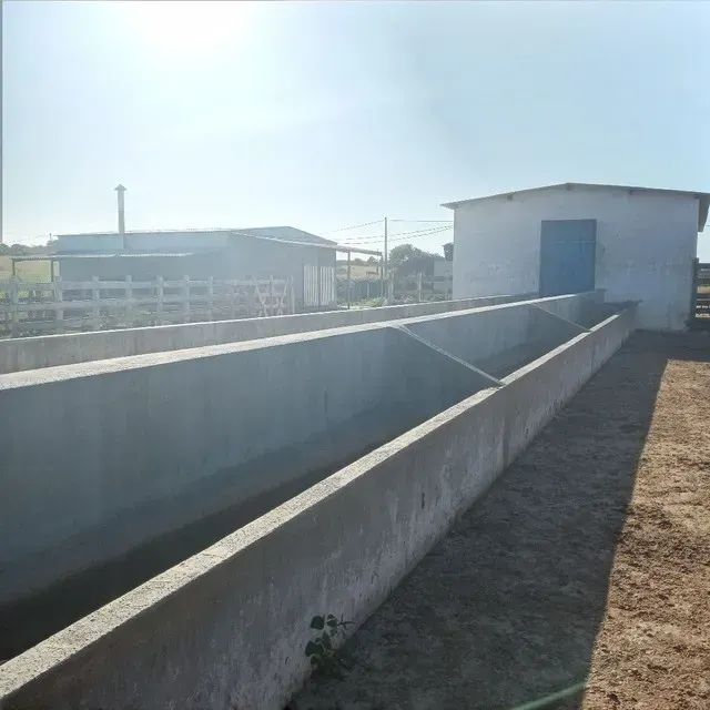 Granja com 20 hectares na região de mente Alegre - Foto 5