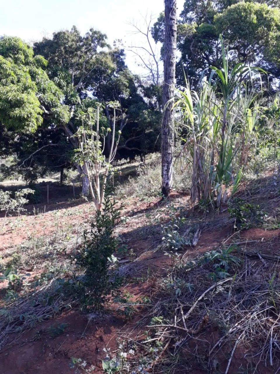 Chácara de 2000m² em Taquaraçu de Minas. - Foto 3