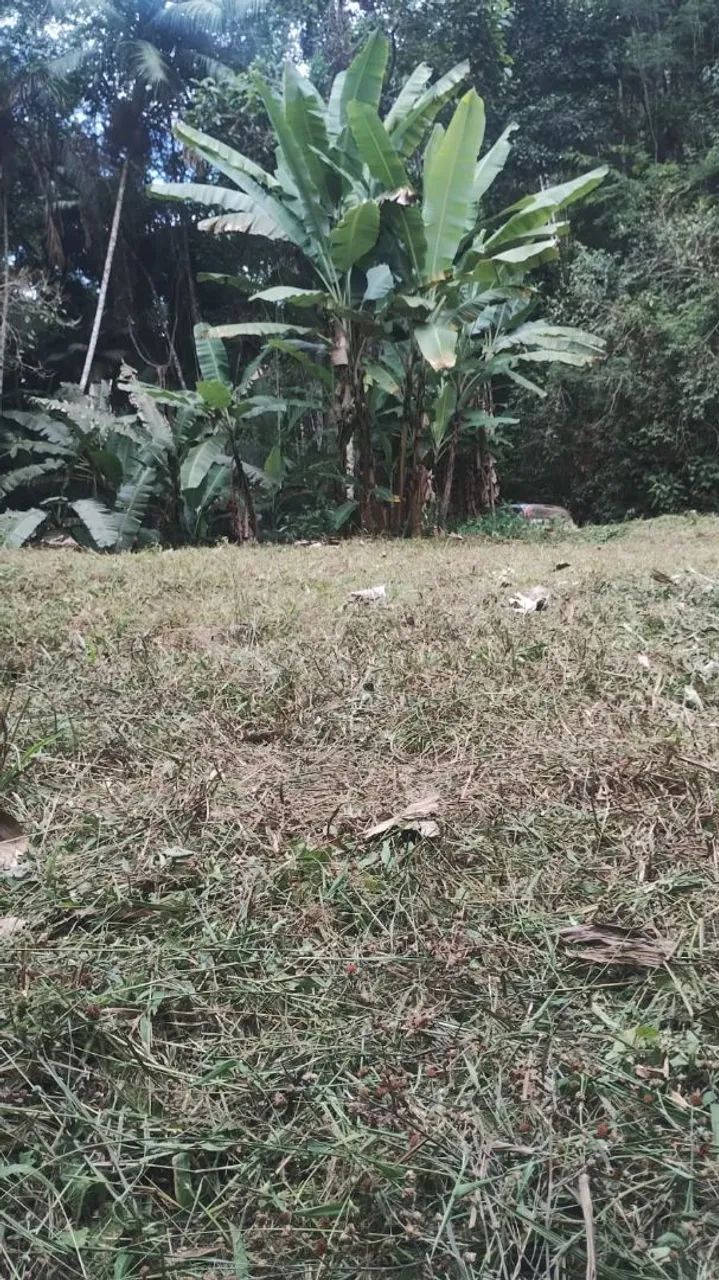 Terreno com area para plantio e agua ,escriturado e registrado  - Foto 3