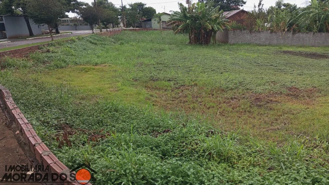 VENDA DE TERRENO - Foto 4