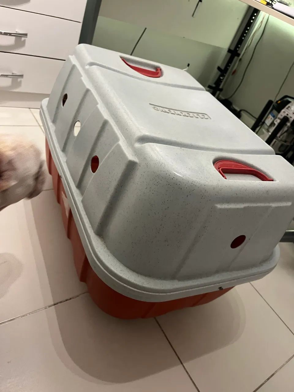 Caixa para cachorro transporte - Foto 5