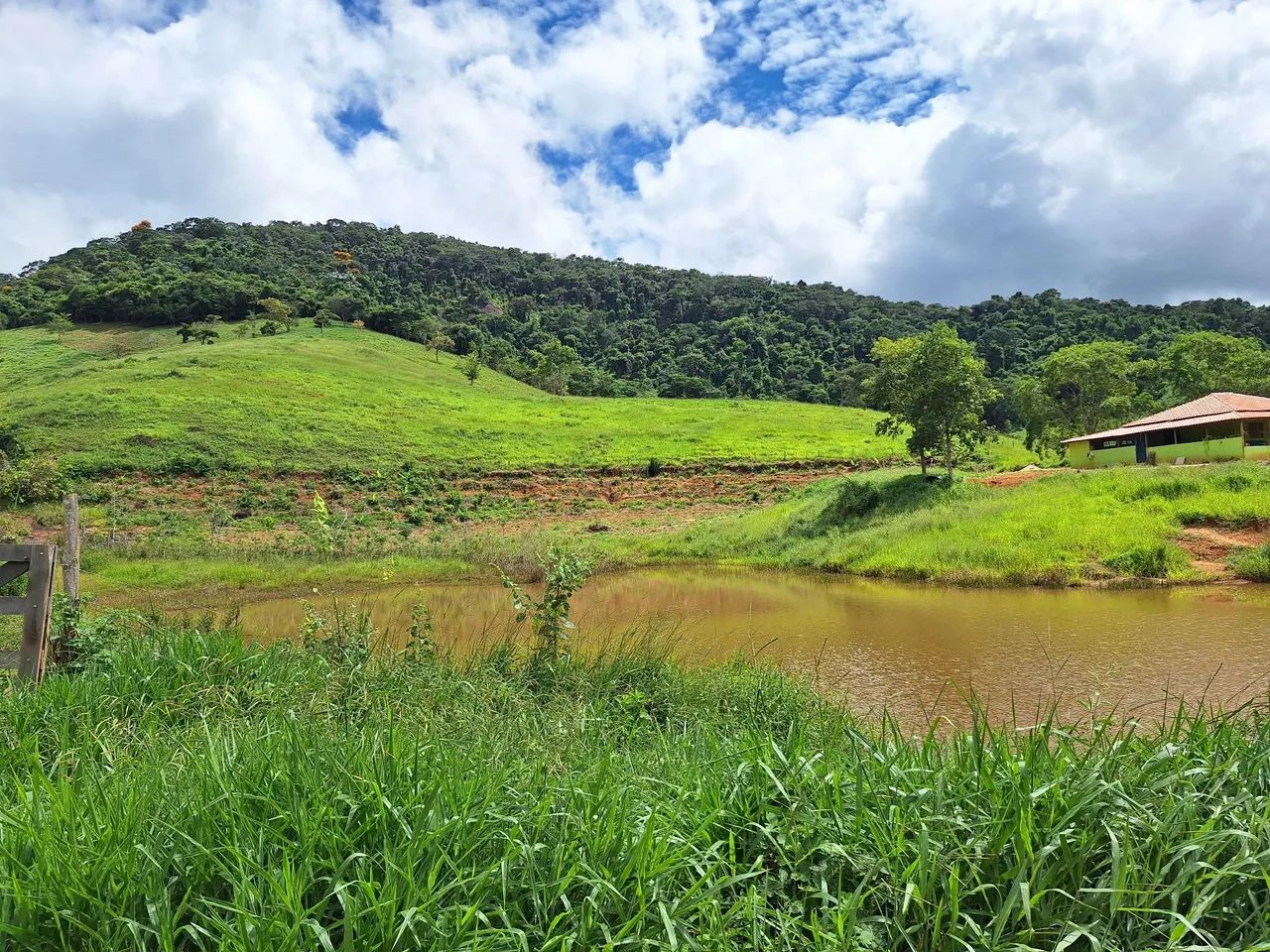 Terreno seis alqueires  - Foto 4
