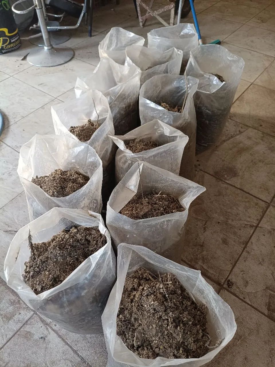 Vendo esterco de galinha puro  - Foto 3