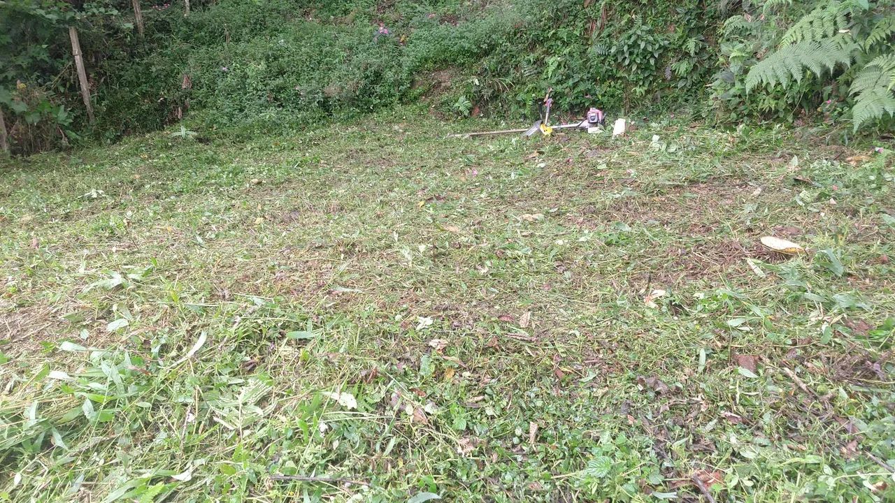 Terreno  - Foto 4