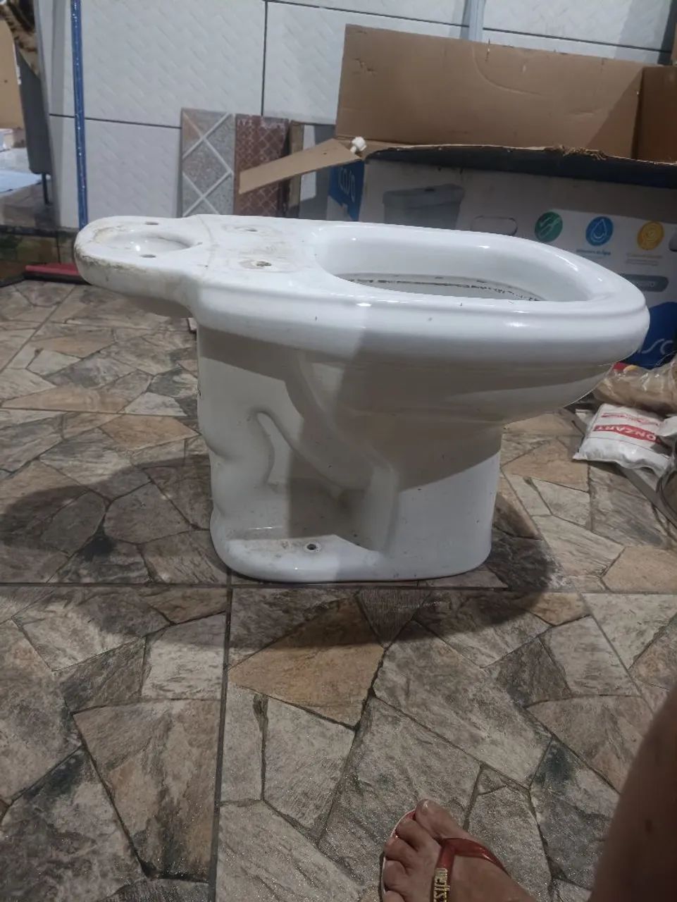 White toilet bowl