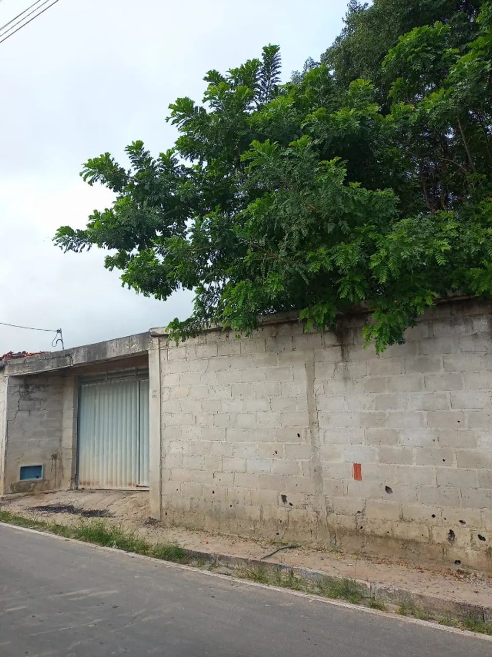 Foto - Campo Formoso - 