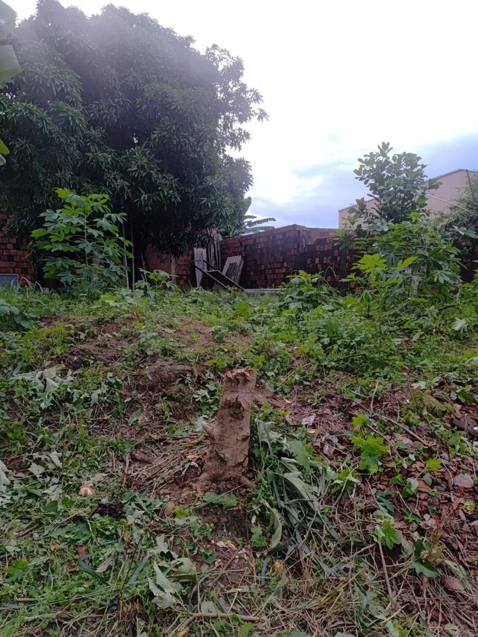 Vendo este terreno, ótimo localização  - Foto 4