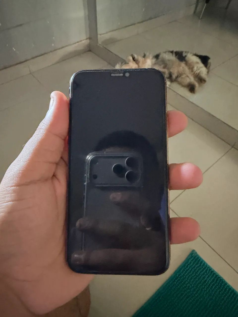 iPhone 11 Pro 