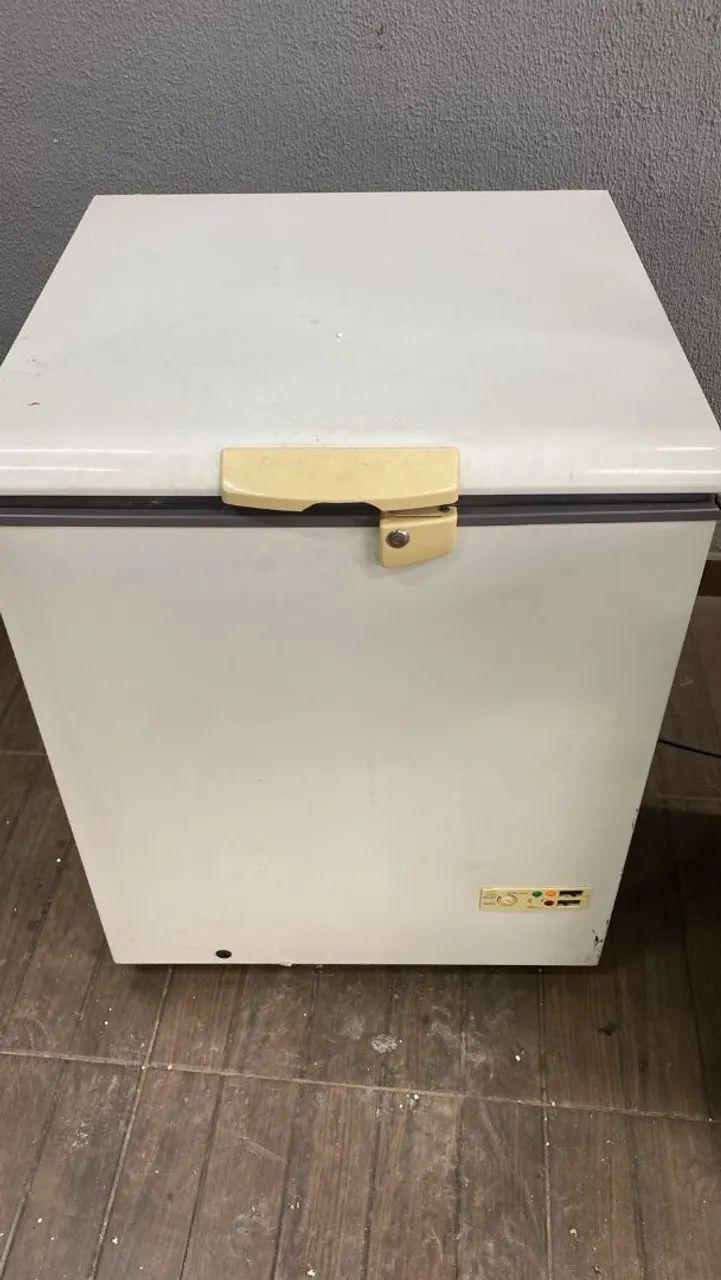 Frizer 110 v
