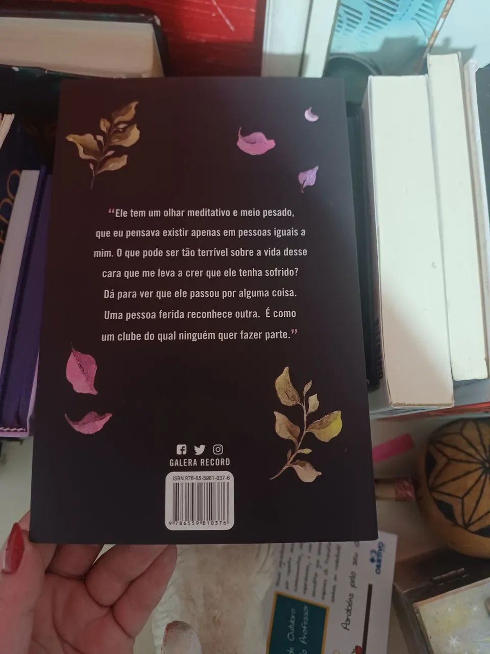 Livro- Até o verão terminar - Foto 2