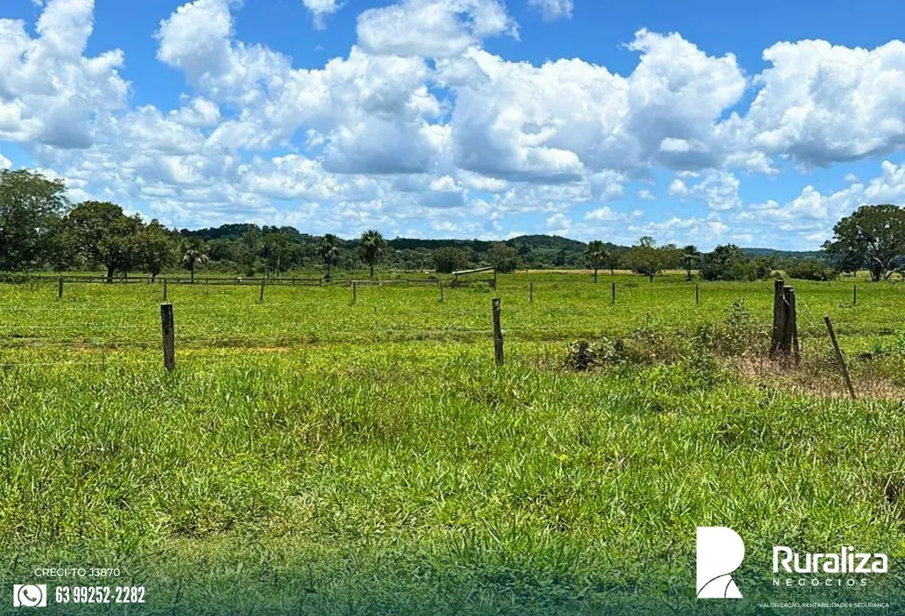 INVESTIMENTO RURAL | ALTA PRODUTIVIDADE E ESTRUTURA COMPLETA - Foto 2