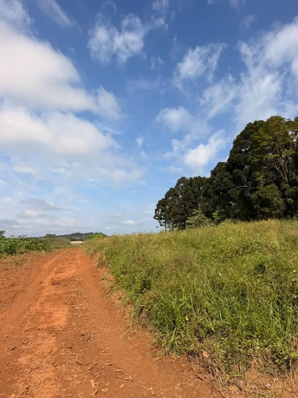Terreno de 1.000 m²: Campo e Cidade Perto - Foto 2