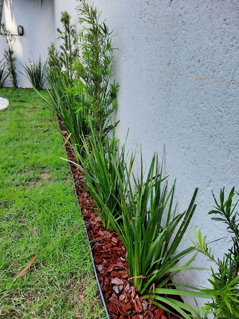 Paisagismo e Jardinagem  - Foto 4