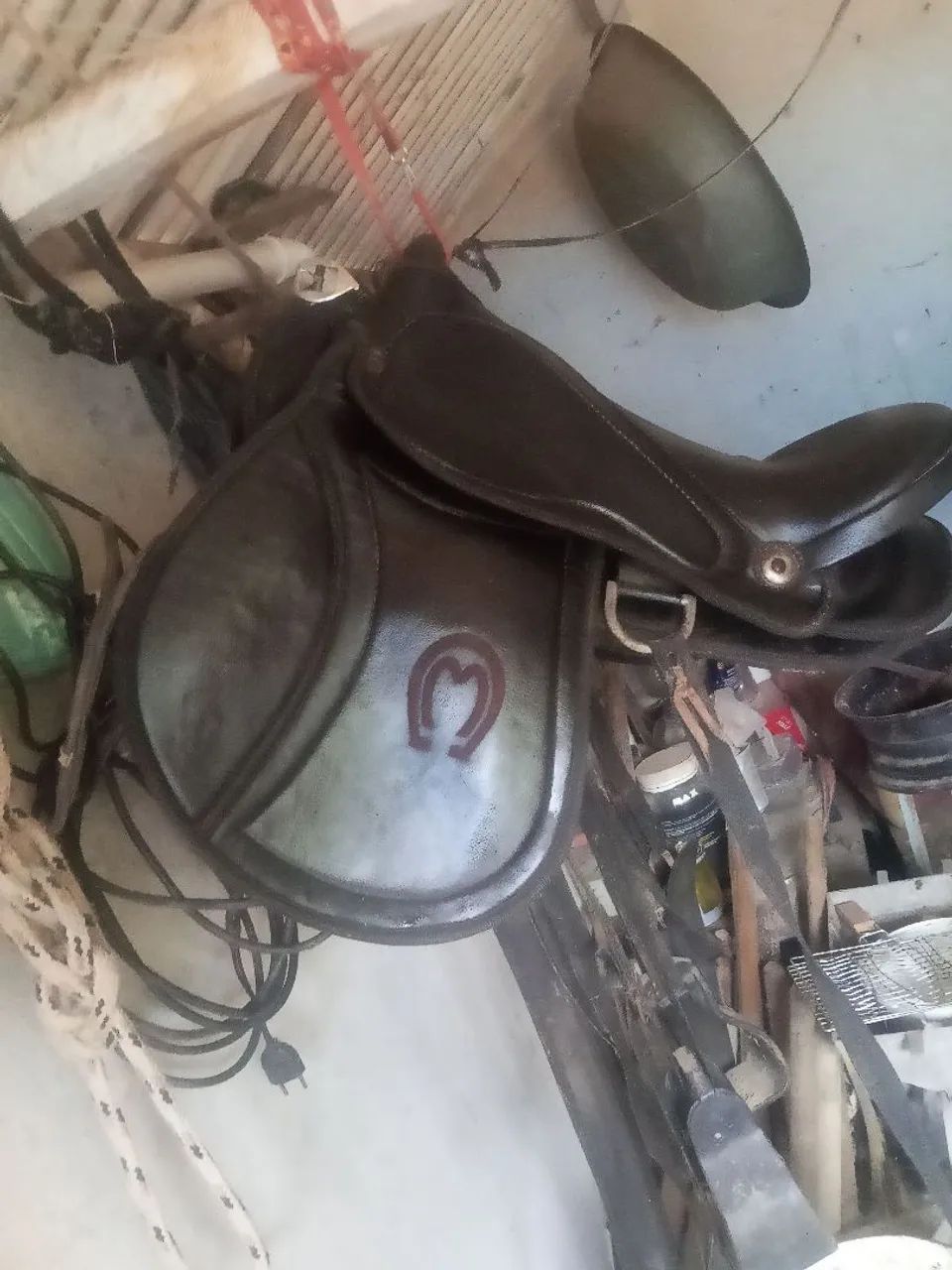 Sela mangalarga