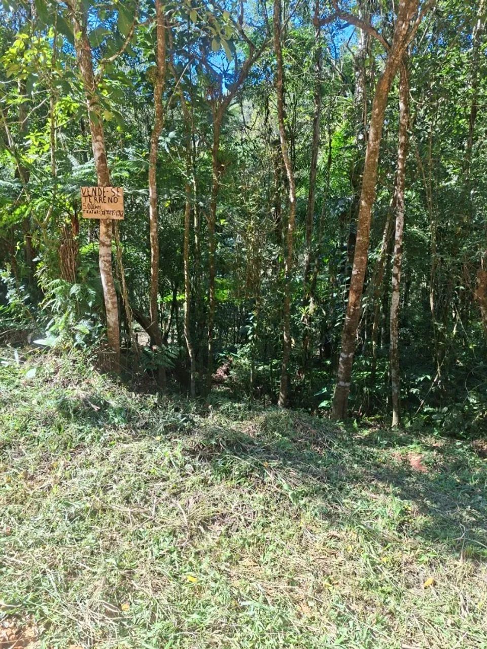 Terreno 5.000ms- Ótimo preço, aceito troca. - Foto 3