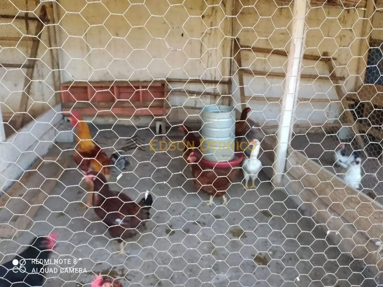 Chácara com 3 Quartos à Venda, Goiabal - Pindamonhangaba - Foto 5