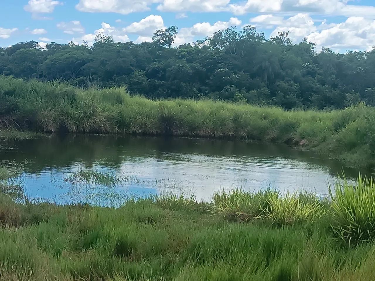Chácara município de sidrolandia - Foto 2