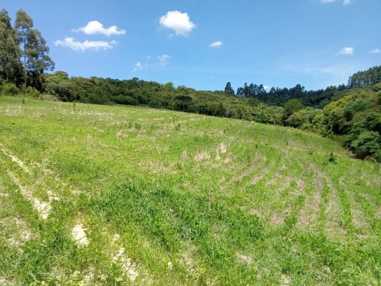 Terreno Rural em Antônio Olinto  - Foto 2