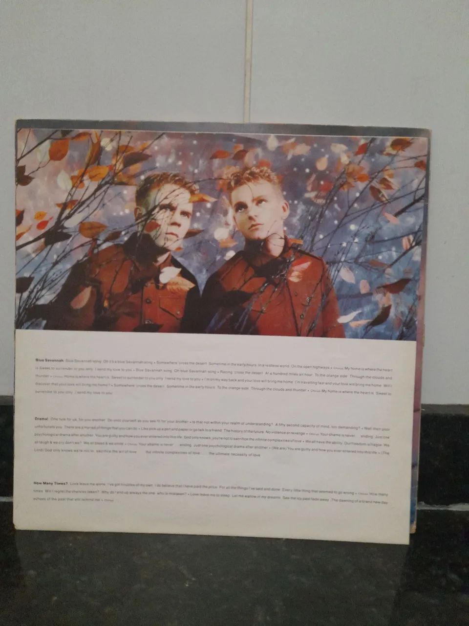 LP Vinil Erasure - Wild - Foto 3