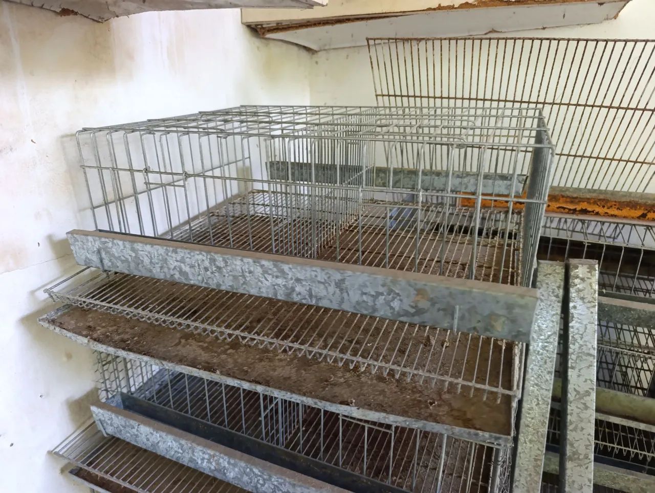 GAIOLA PARA CODORNAS65048996970242123