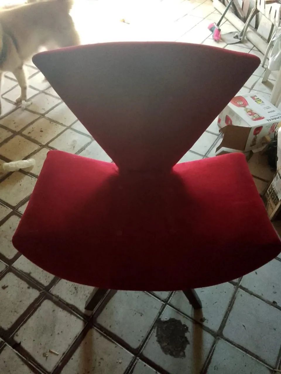 Vendo pegue e monte - Foto 3